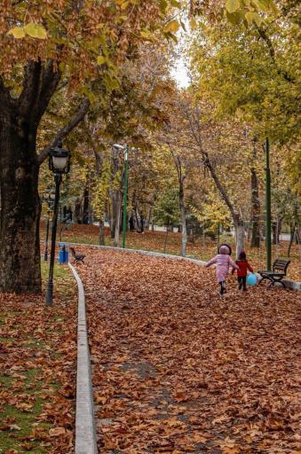 عکس بوستان ملت