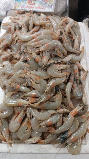 عکس  بازار ماهی سرچشمه