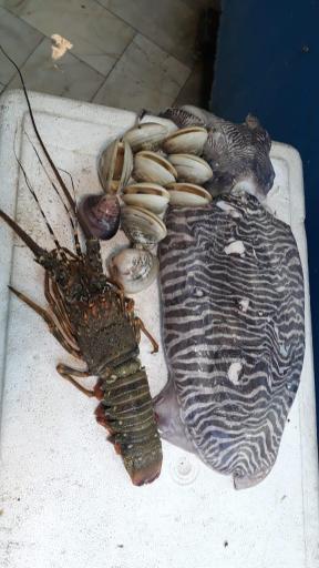 عکس  بازار ماهی سرچشمه