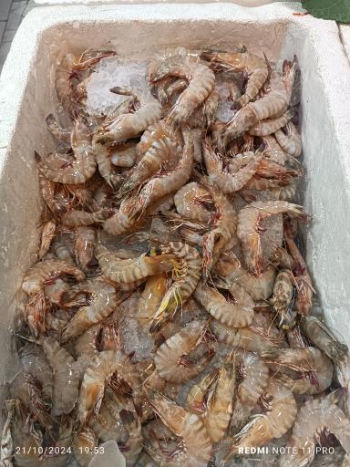 عکس  بازار ماهی سرچشمه