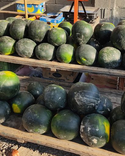 عکس دوشنبه بازار