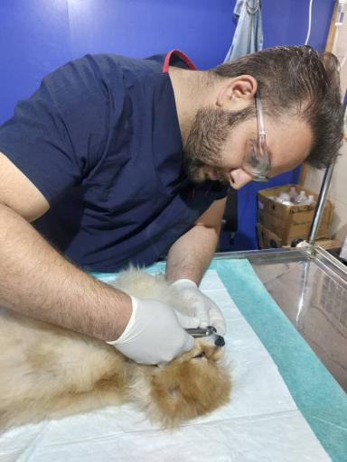 عکس کلینیک دامپزشکی دکتر مدرسی