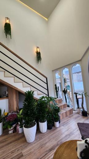 عکس کافه افشین