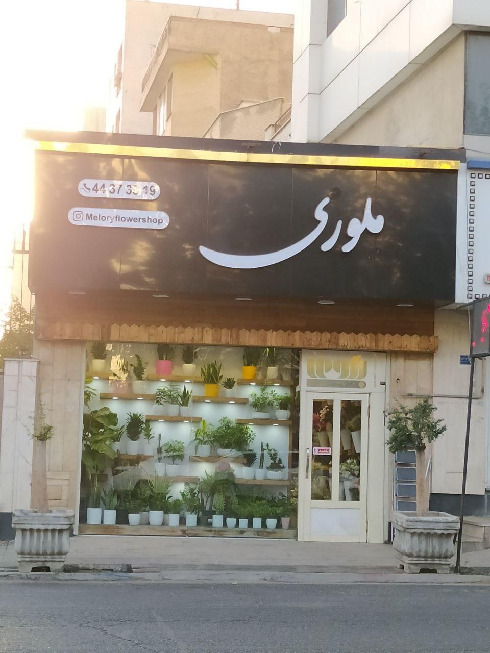 عکس گل‌فروشی ملوری
