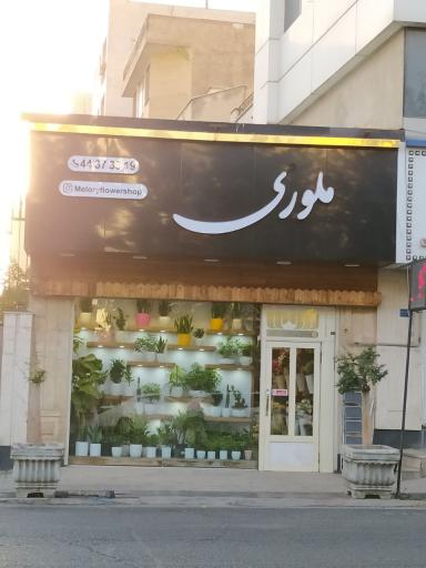 عکس گل‌فروشی ملوری