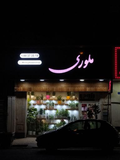 عکس گل‌فروشی ملوری