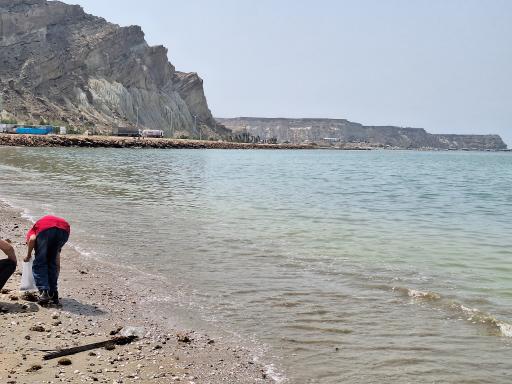 تیس