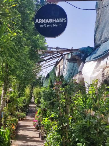 عکس کافه ارمغان گیاه