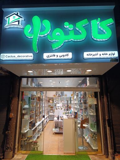 عکس لوازم آشپزخانه و دکوری کاکتوس