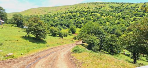 عکس سی‌دشت