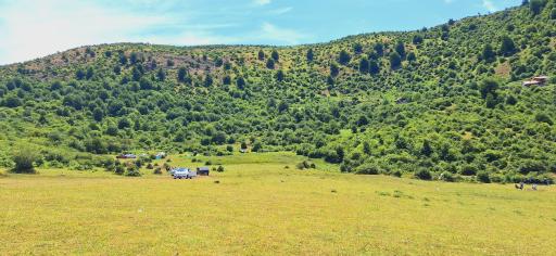 عکس سی‌دشت