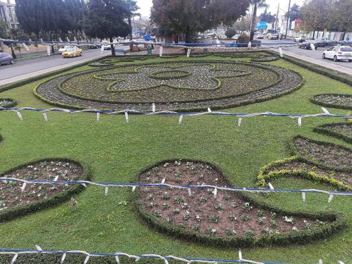 عکس شهرداری آستارا