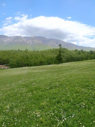 عکس سی‌دشت