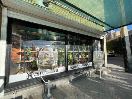 کافه نبات کرمان