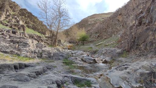 عکس دره ارغوان