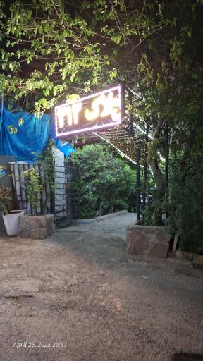 عکس باغ رستوران پلاک ۳۱۳