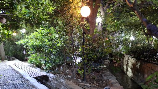 عکس باغ رستوران پلاک ۳۱۳