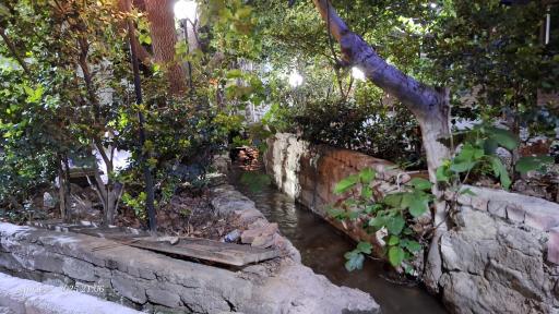 عکس باغ رستوران پلاک ۳۱۳