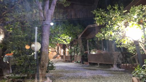 عکس باغ رستوران پلاک ۳۱۳