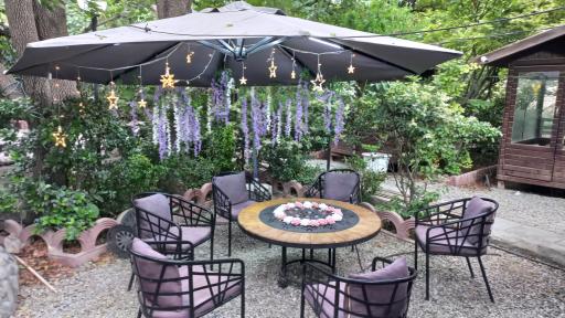 عکس باغ رستوران پلاک ۳۱۳