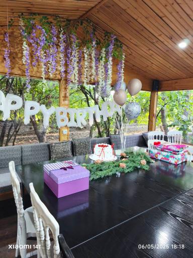 عکس باغ رستوران پلاک ۳۱۳