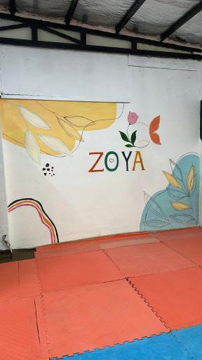 عکس باشگاه زویا