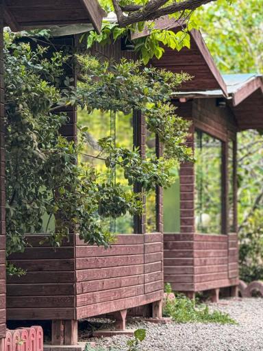 عکس باغ رستوران پلاک ۳۱۳