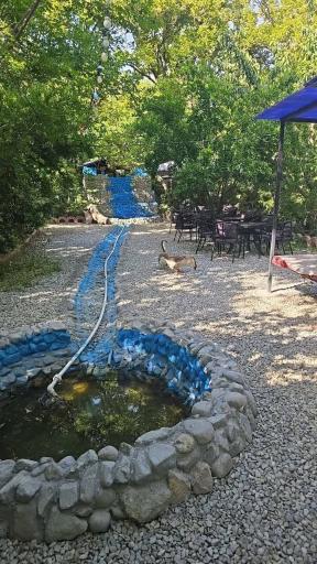 عکس باغ رستوران پلاک ۳۱۳