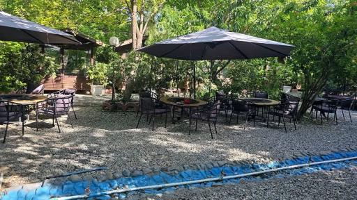 عکس باغ رستوران پلاک ۳۱۳