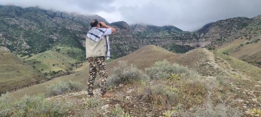 عکس دره ارغوان