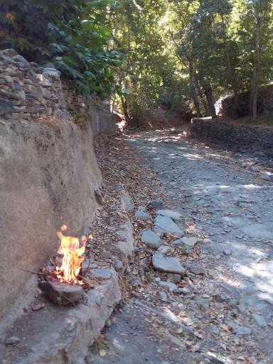 عکس دره ارغوان