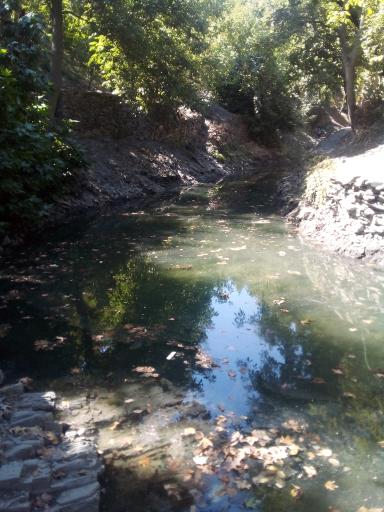 عکس دره ارغوان