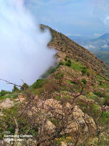 عکس دره ارغوان