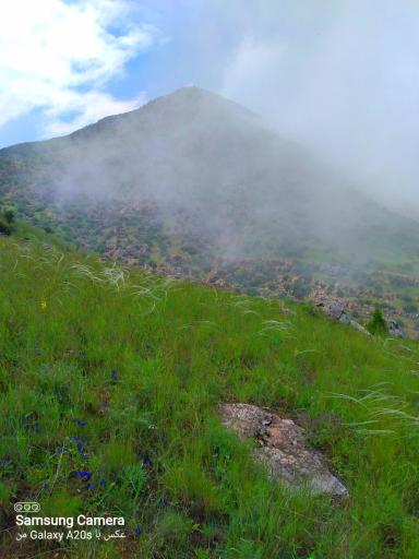 عکس دره ارغوان