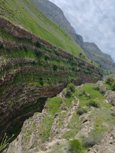 عکس دره ارغوان