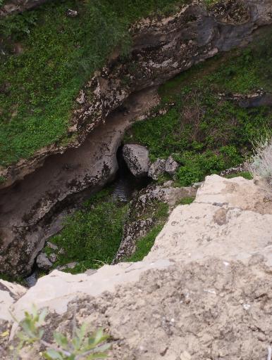 عکس دره ارغوان