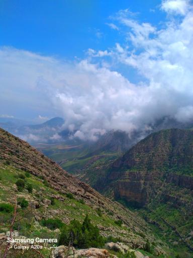 عکس دره ارغوان