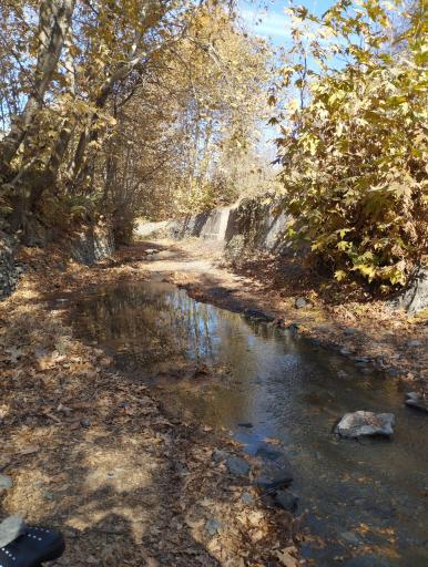 عکس دره ارغوان