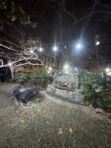 عکس باغ رستوران پلاک ۳۱۳