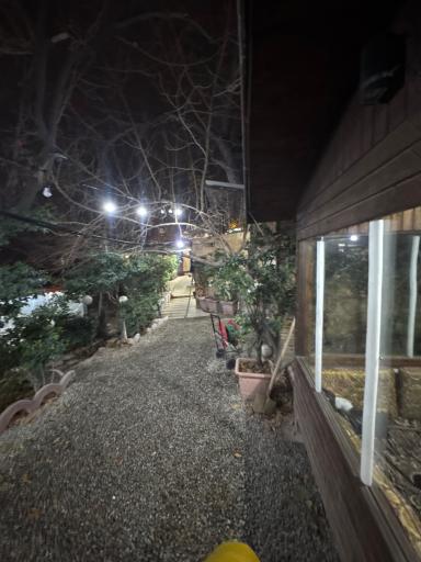 عکس باغ رستوران پلاک ۳۱۳