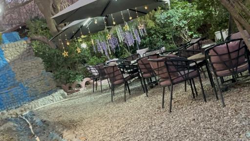 عکس باغ رستوران پلاک ۳۱۳