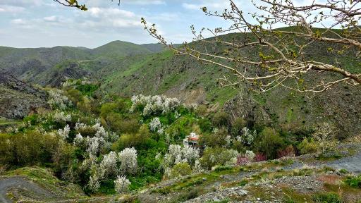 عکس دره ارغوان