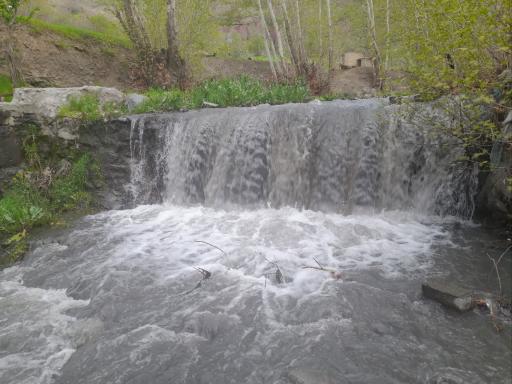 عکس دره ارغوان