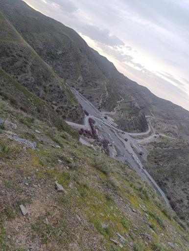 عکس دره ارغوان