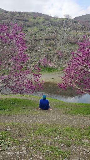عکس دره ارغوان