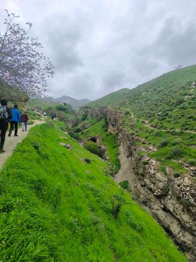 عکس دره ارغوان