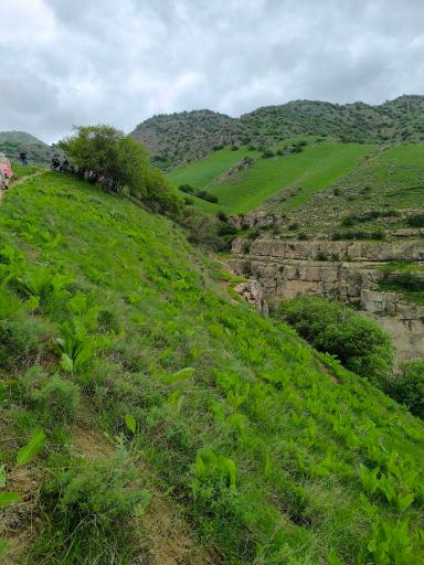 عکس دره ارغوان