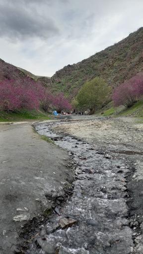عکس دره ارغوان
