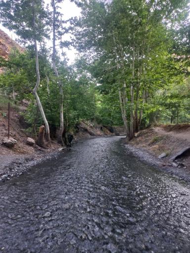 عکس دره ارغوان