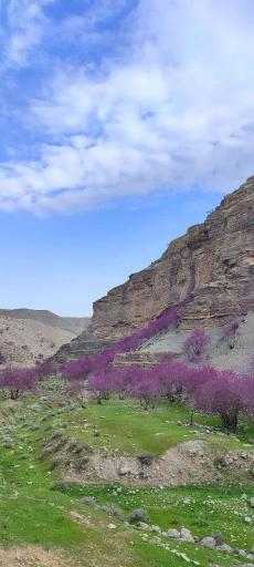 عکس دره ارغوان